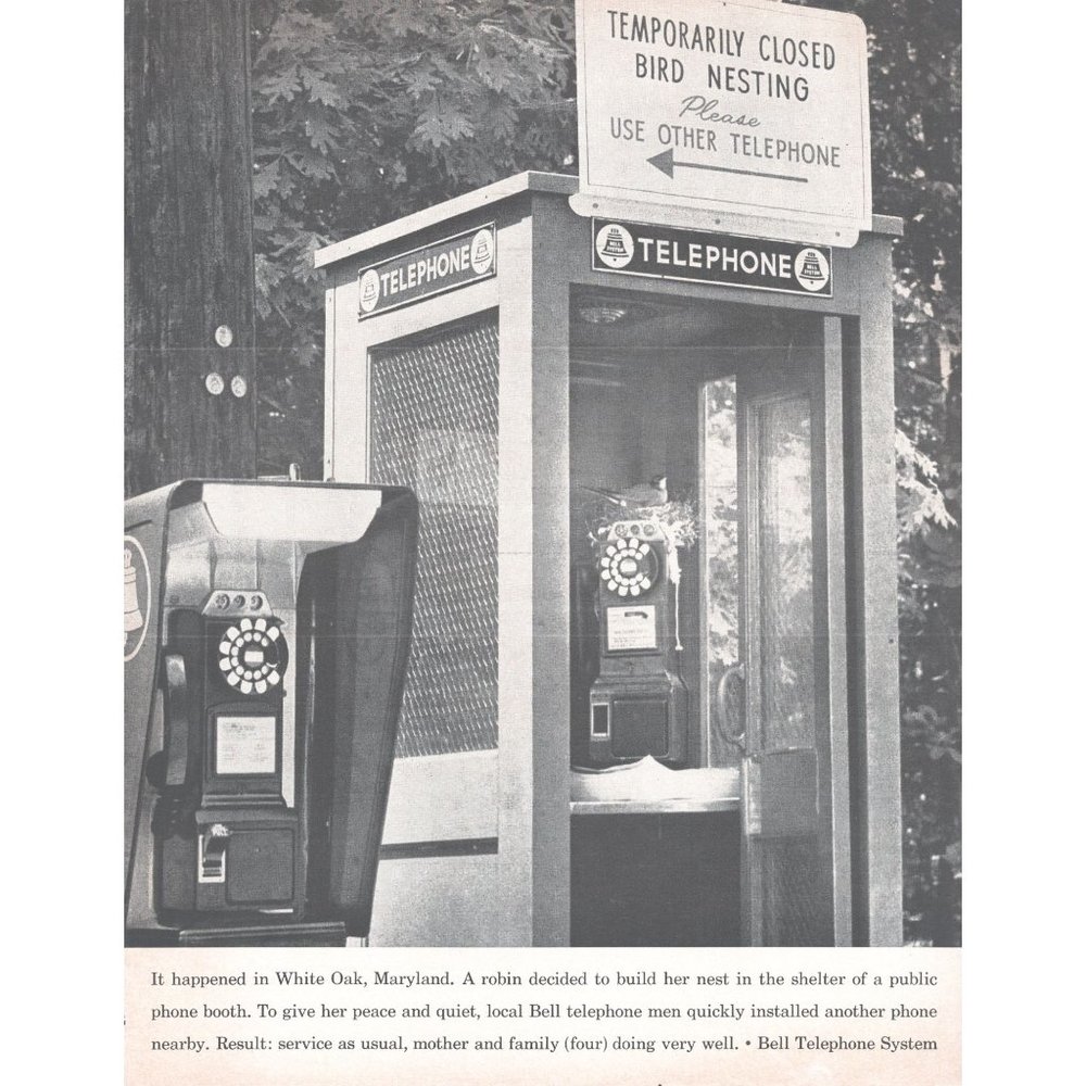 1961 Bell Telephone Booth Vintage Print Ad Bird Nest Highway Road Trip Wall Art